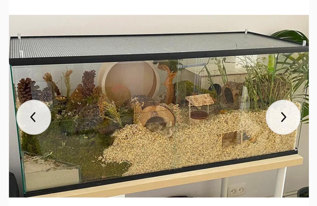Terrarium voor hamster met schuifruiten, Ophalen, Zo goed als nieuw, Overige typen