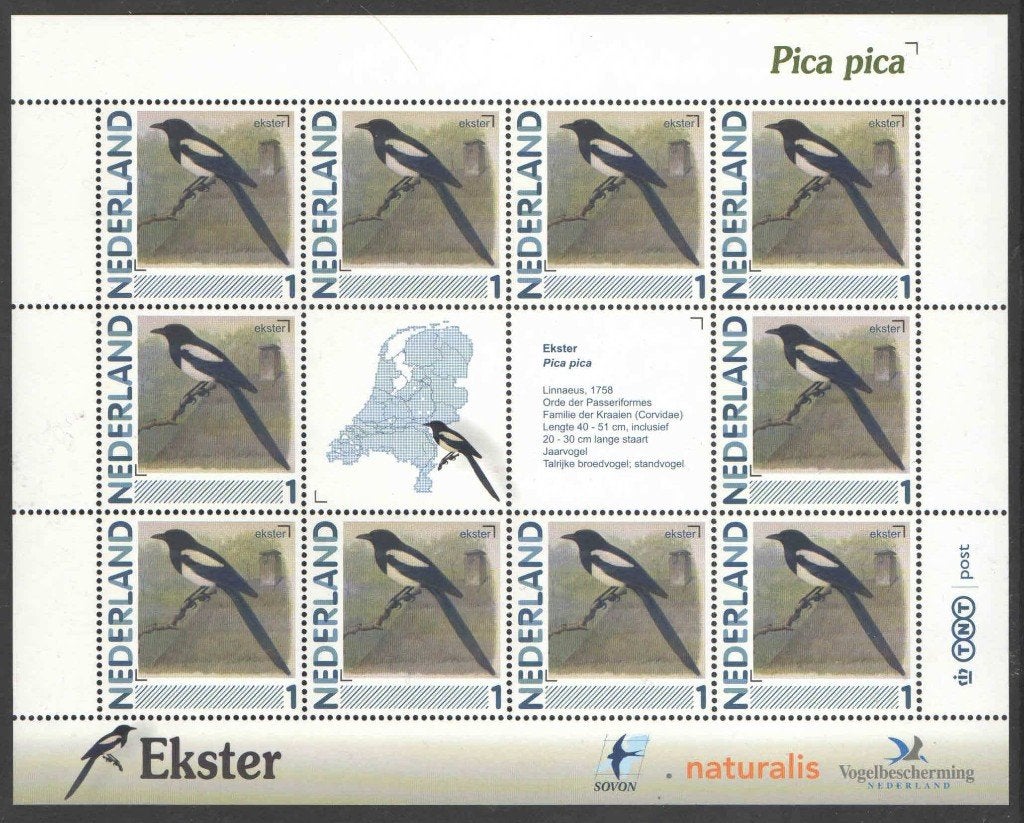 Postzegels Vogels in Nederland: Ekster, Ophalen of Verzenden, Na 1940, Postfris