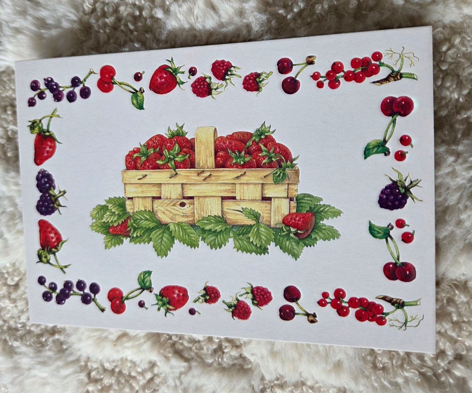 Bloemen & Fruit - Mieke van Tilburg, Rotterdam, Verzamelen, Ansichtkaarten | Themakaarten, Verzenden, 1980 tot heden, Ongelopen