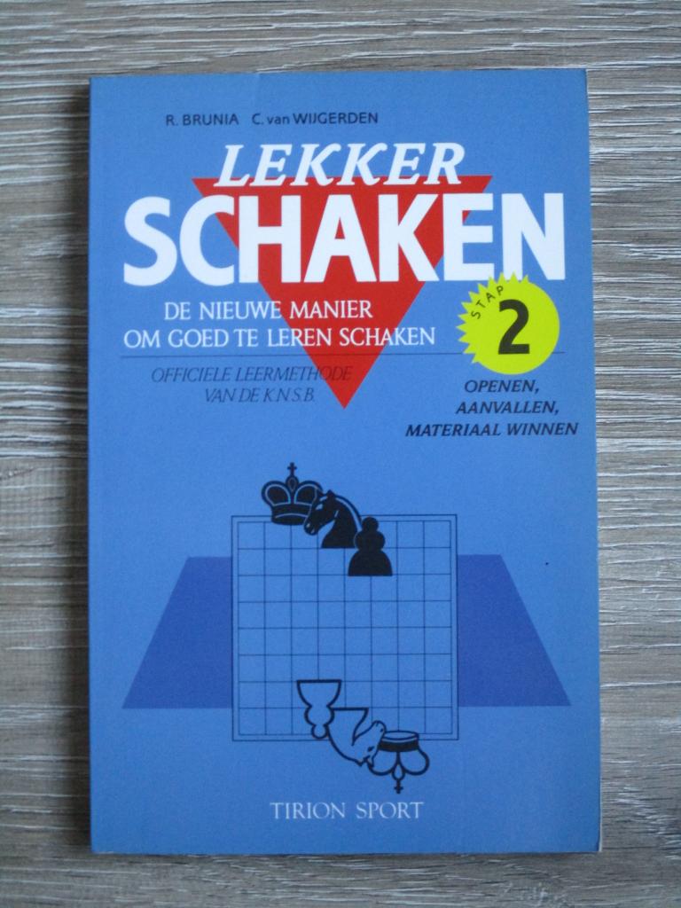 Lekker schaken 2 - R. Brunia / C. van Wijgerden, Ophalen of Verzenden, Gelezen, Overige onderwerpen