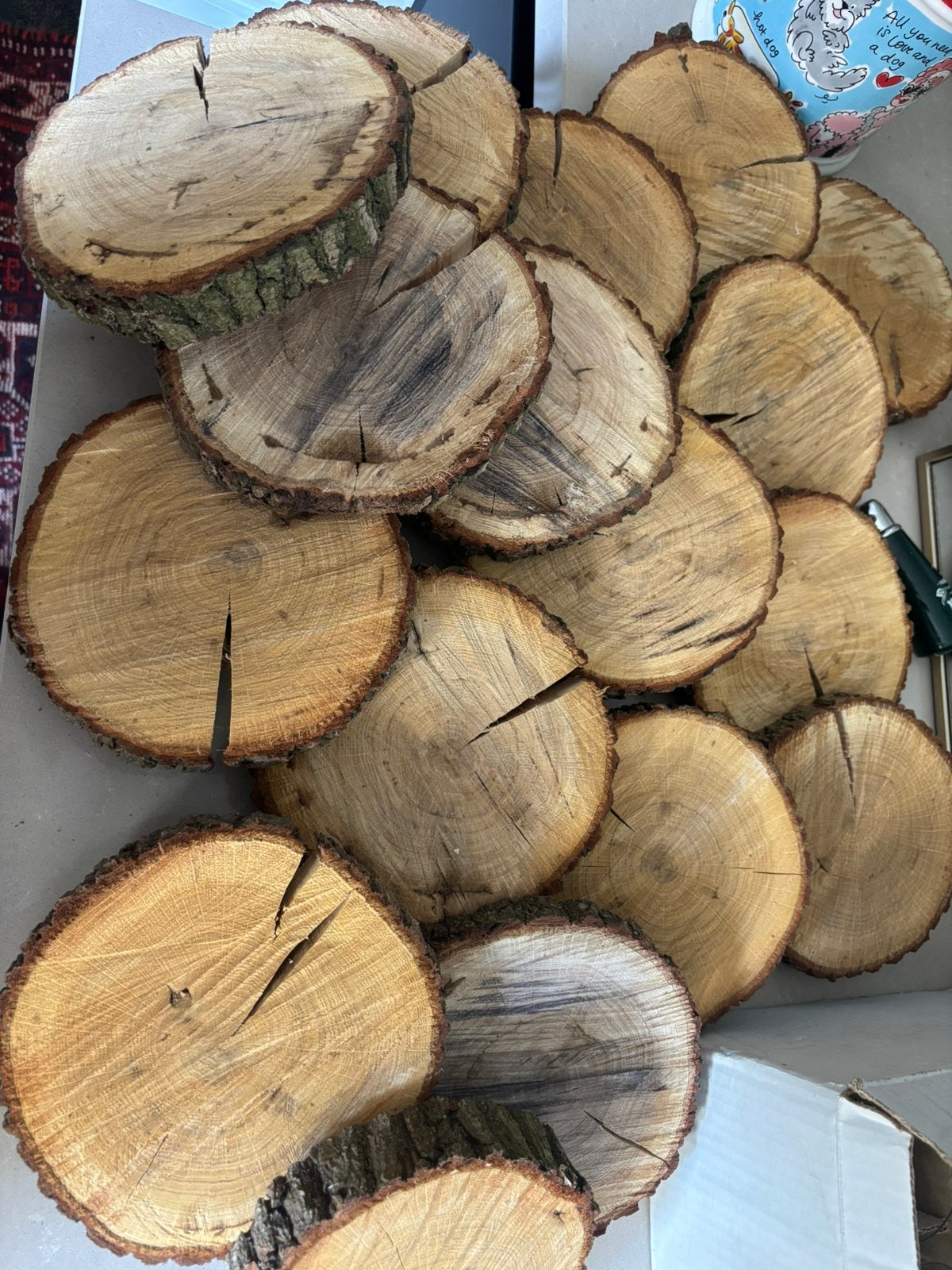 Houten schijven eiken boomstam, Ophalen