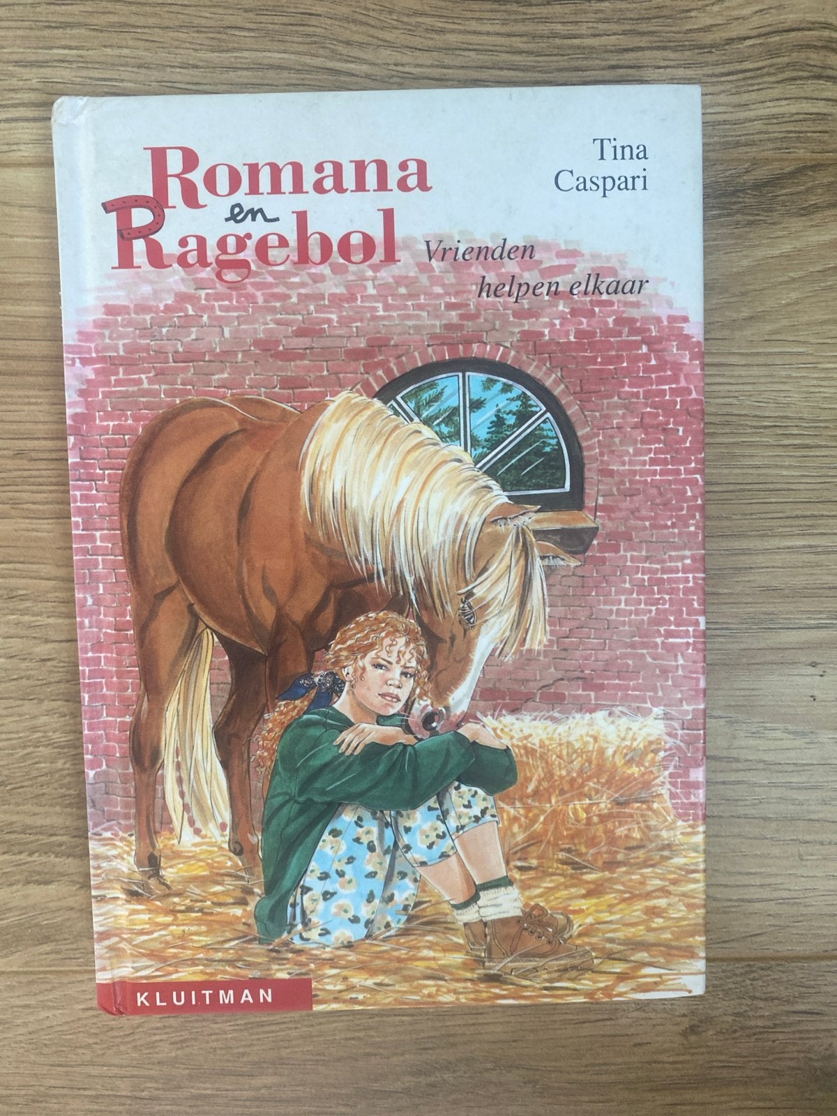 Romana en Ragebol: Vrienden helpen elkaar - Tina Caspari, Ophalen, Gelezen, Fictie