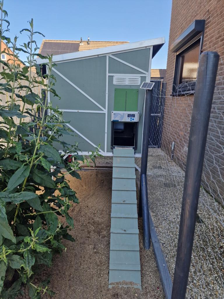 Kippenhok inclusief Chickenguard en legnesten, Ophalen, Zo goed als nieuw, Kippenhok of Kippenren