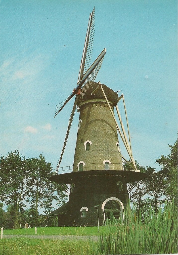 Oisterwijk, Molen De Hoop - Oude Ansichtkaart, Ophalen of Verzenden, 1940 tot 1960, Gelopen, Noord-Brabant