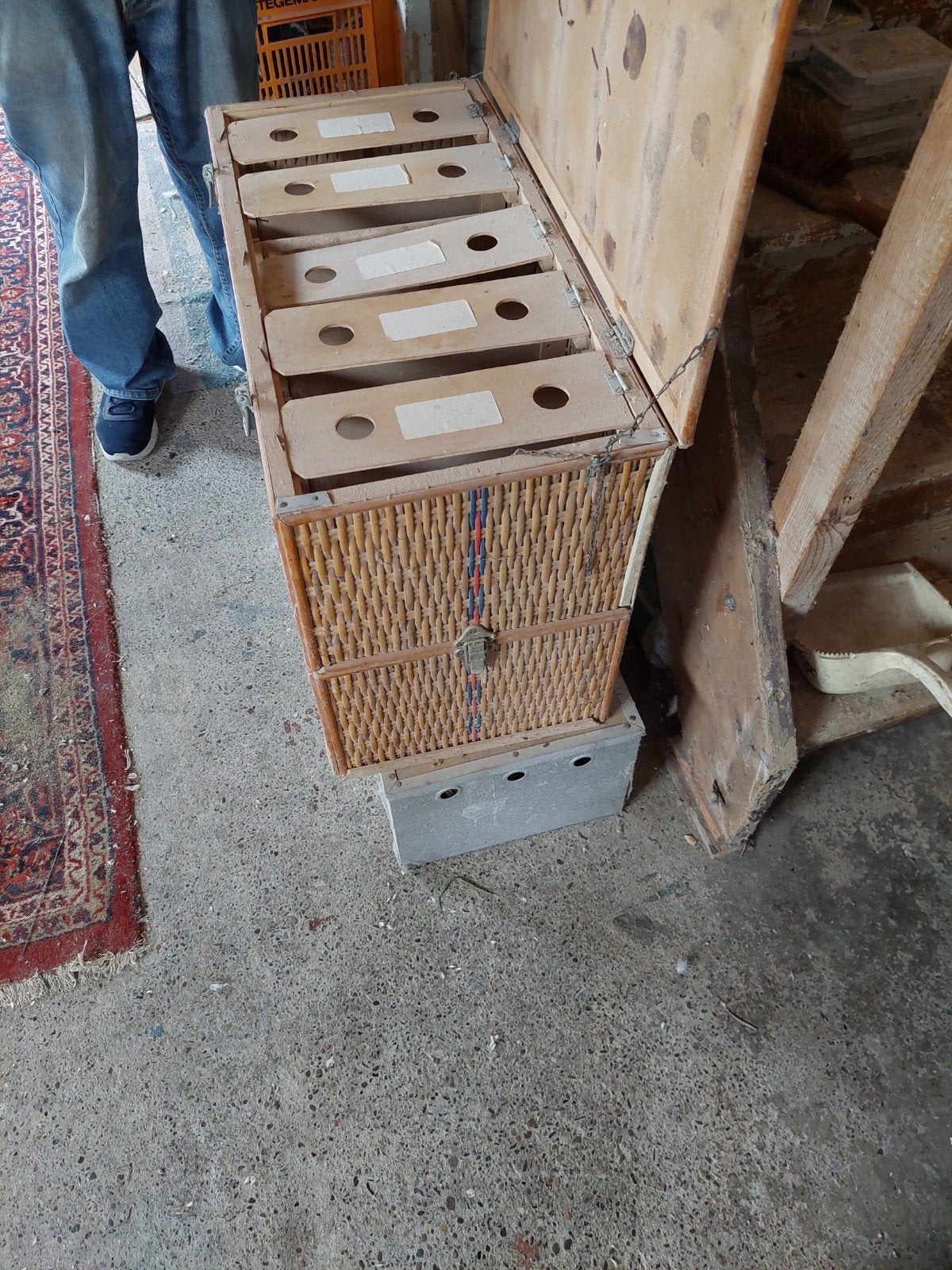 Duivenmand 1x 10vaks  1x  6vaks, Ophalen of Verzenden, 25 tot 50 cm, 50 tot 100 cm, Minder dan 100 cm