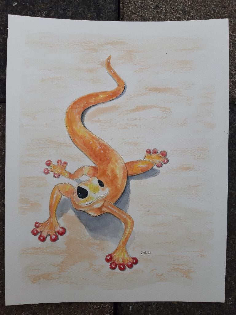 Aquarel Salamander, 35 x 27 cm., Ophalen, Minder dan 50 cm, Oorspronkelijke maker, Nieuw