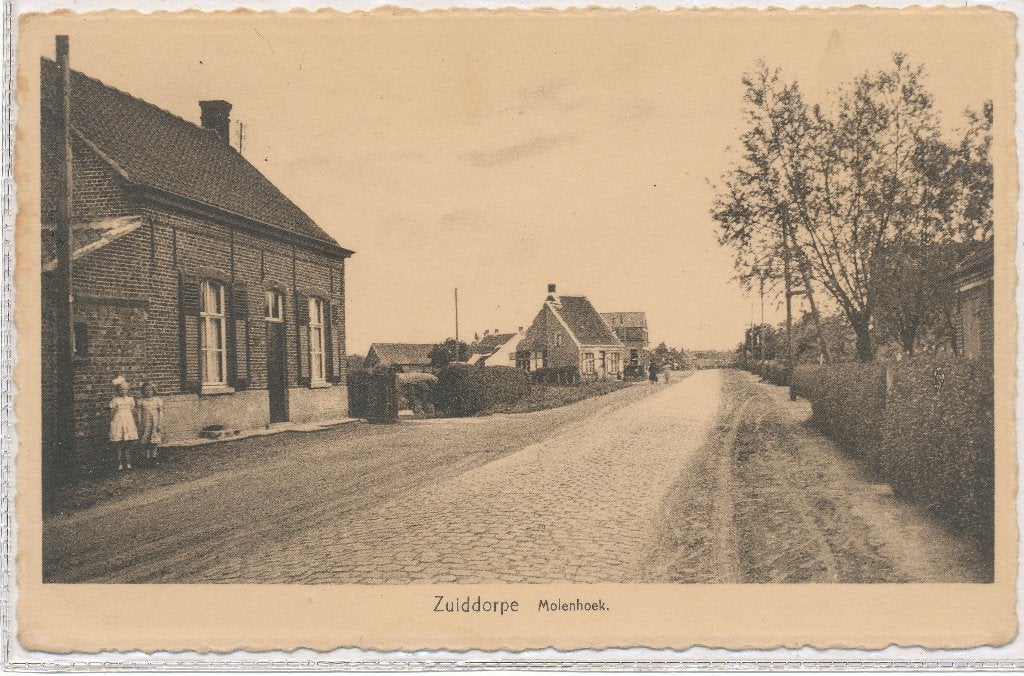 Zuiddorpe - Molenhoek  1951, Ophalen of Verzenden, 1940 tot 1960, Ongelopen, Zeeland