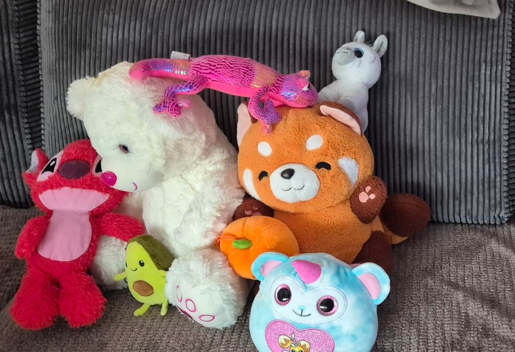 Gratis zak met knuffels, Ophalen, Overige typen