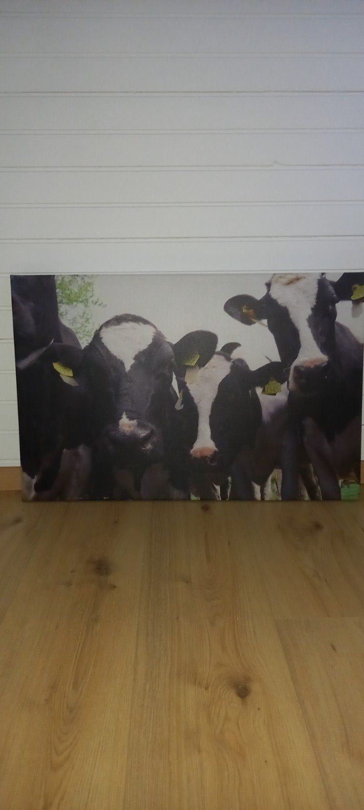 Canvas schilderij met koeien - Landelijke decoratie, Huis en Inrichting, Woonaccessoires | Schilderijen, Tekeningen en Foto's