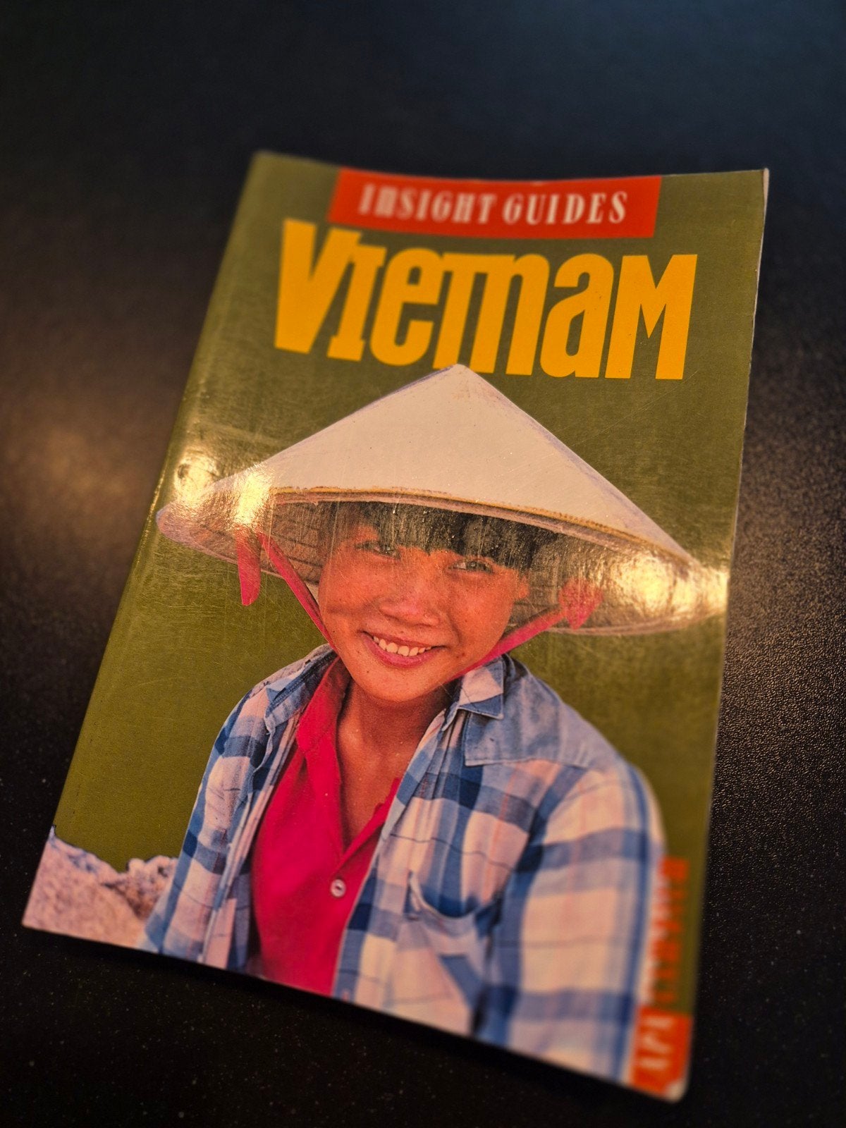 Insight Guides Vietnam Reisgids, Ophalen of Verzenden, Reisgids of -boek, Azië, Gelezen