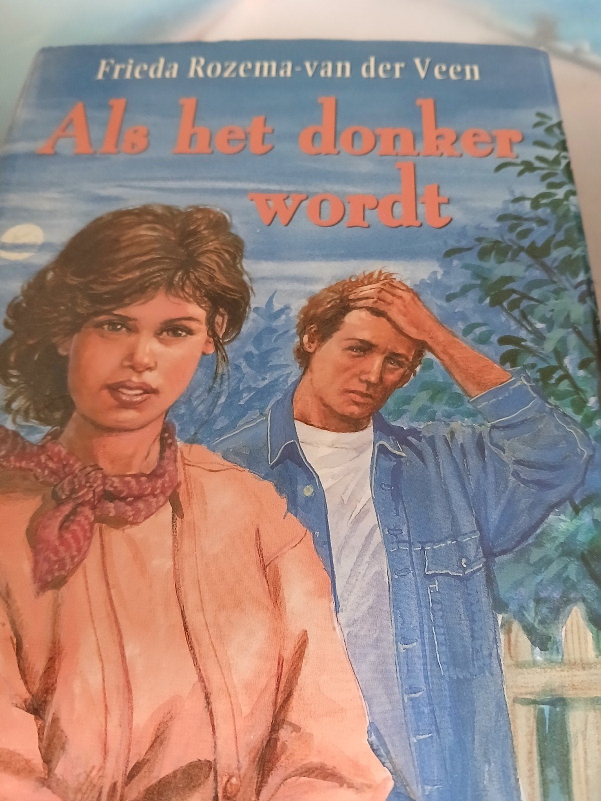 F. Rozema-van der Veen - Als het donker wordt, Ophalen, Gelezen, F. Rozema-van der Veen
