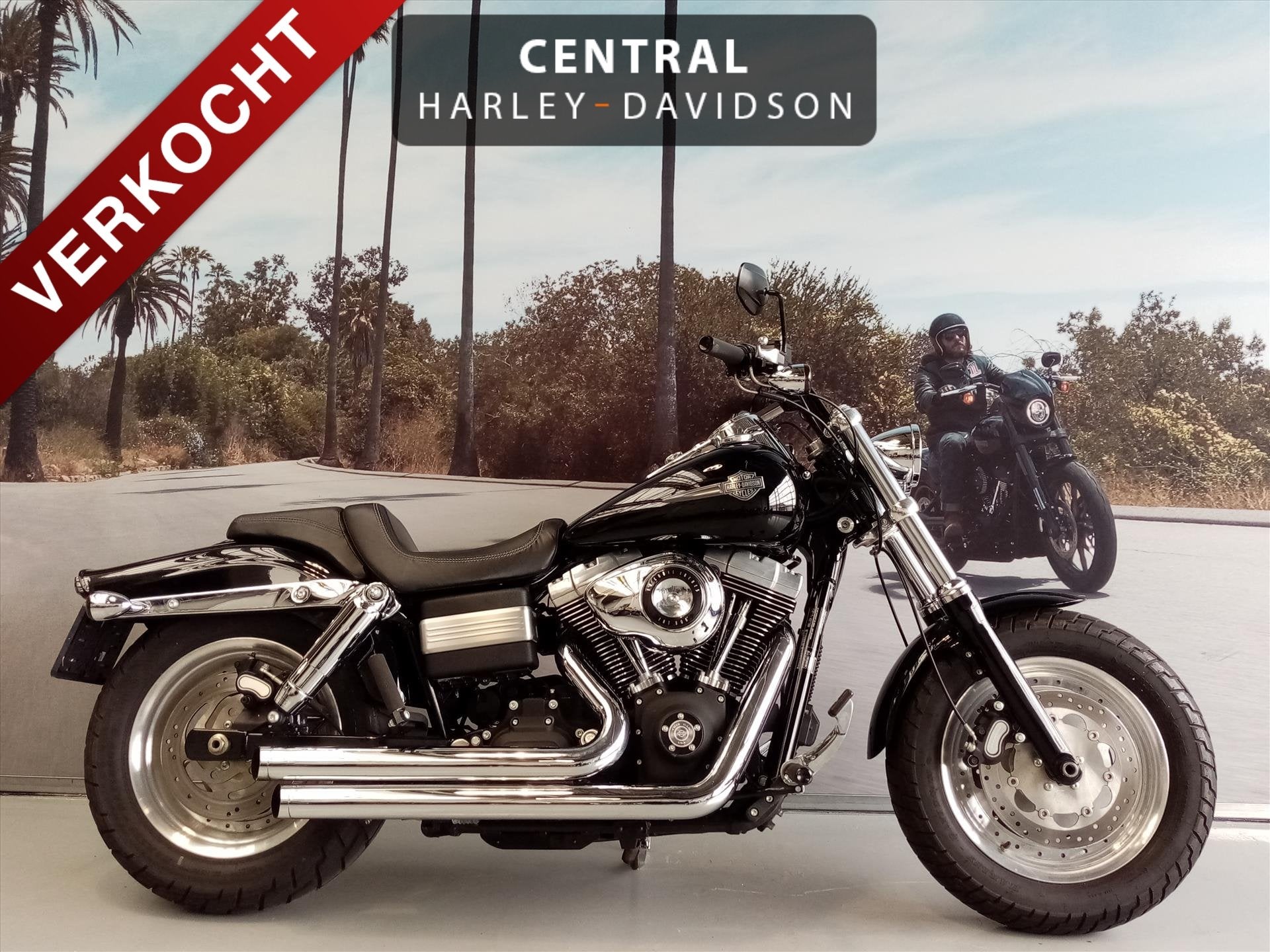 Harley-Davidson Dyna FXDF FAT BOB 96'' 1585, Motoren, Motoren | Harley-Davidson, Chopper, Bedrijf, Meer dan 35 kW, 1584 cc