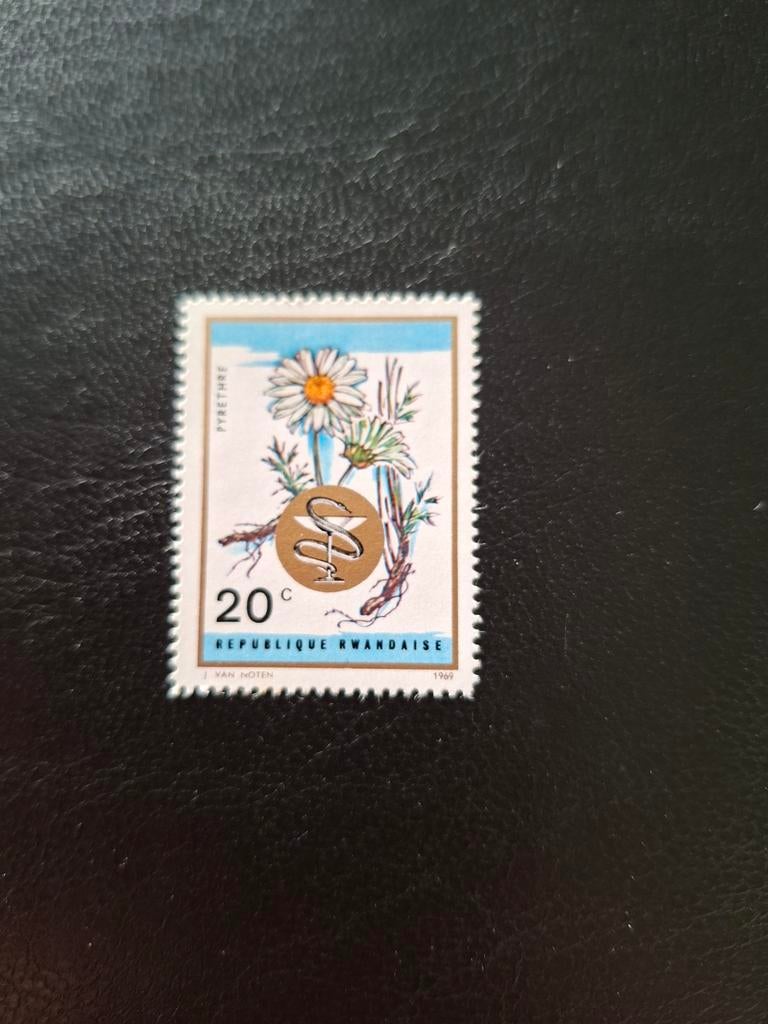 Bloemen.  Rwanda., Ophalen of Verzenden, Dier of Natuur