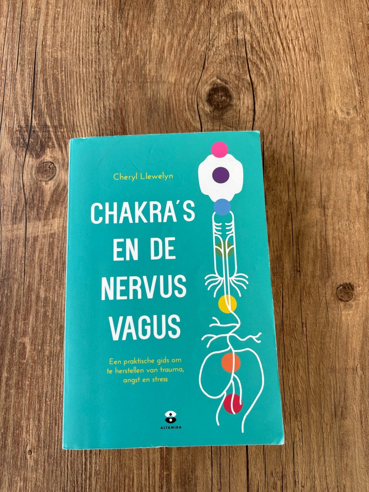 Chakra's en de Nervus Vagus: Herstel van trauma, angst, stre, Boeken, Ophalen of Verzenden, Zo goed als nieuw, Spiritualiteit algemeen