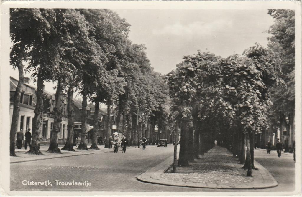 OISTERWIJK Trouwlaantje, Verzenden, 1940 tot 1960, Gelopen, Noord-Brabant