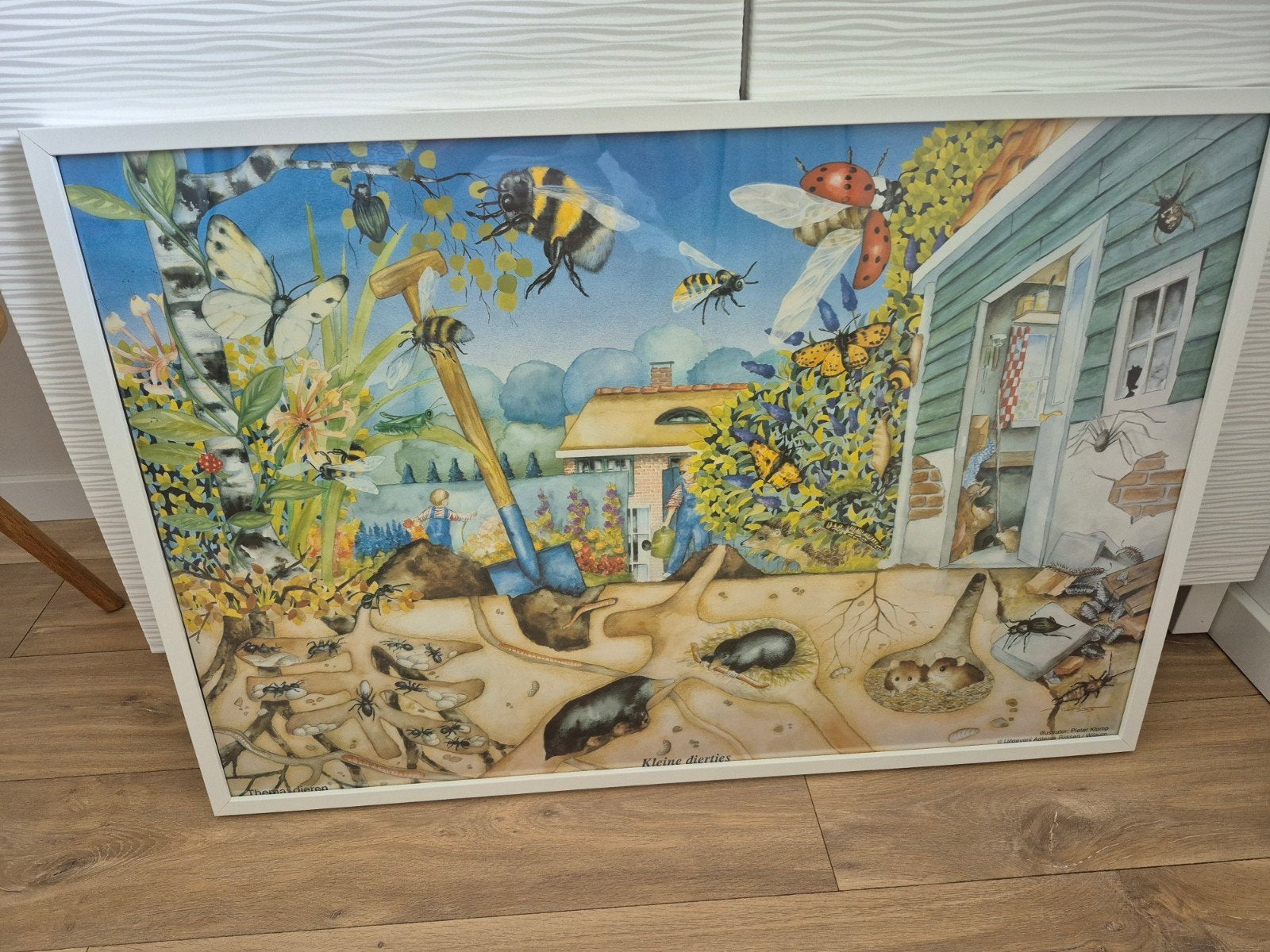 Te koop leuke vintage schoolplaat in witte lijst, Ophalen, Natuur en Biologie