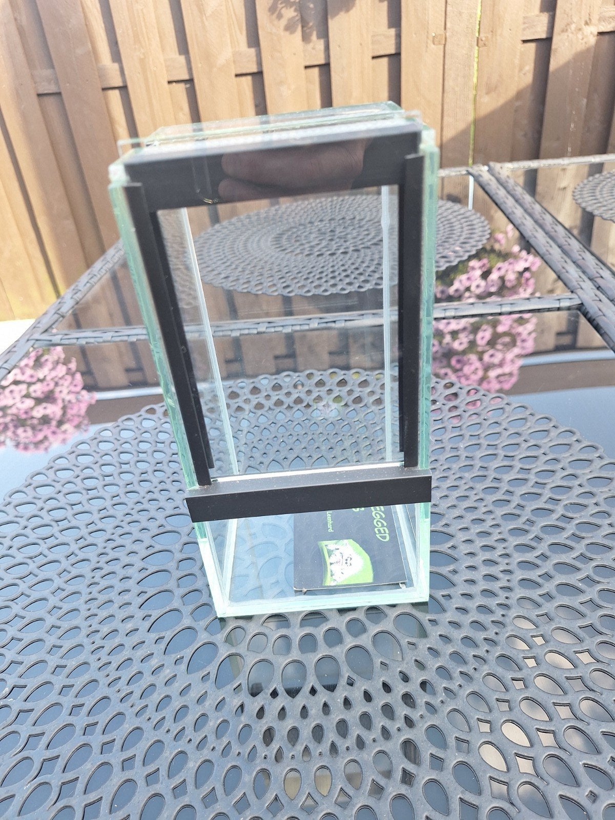 Terrarium voor springspin, Dieren en Toebehoren, Ophalen of Verzenden, Nieuw