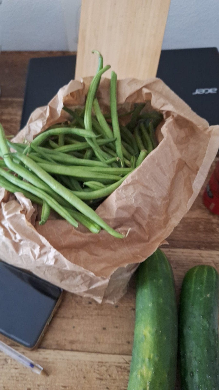 Joure of sneek.🥦🥬🥒🫑 heb jij n moestuin in sneek /joure?, Ophalen of Verzenden, Eenjarig, Groenteplanten, Volle zon