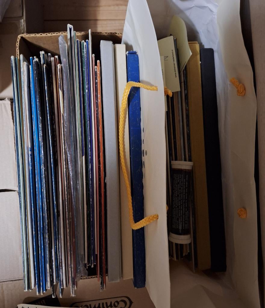 Partij LP's, Cd's en Dvd's, Vinyl | Pop, Ophalen of Verzenden, Zo goed als nieuw, 12 inch
