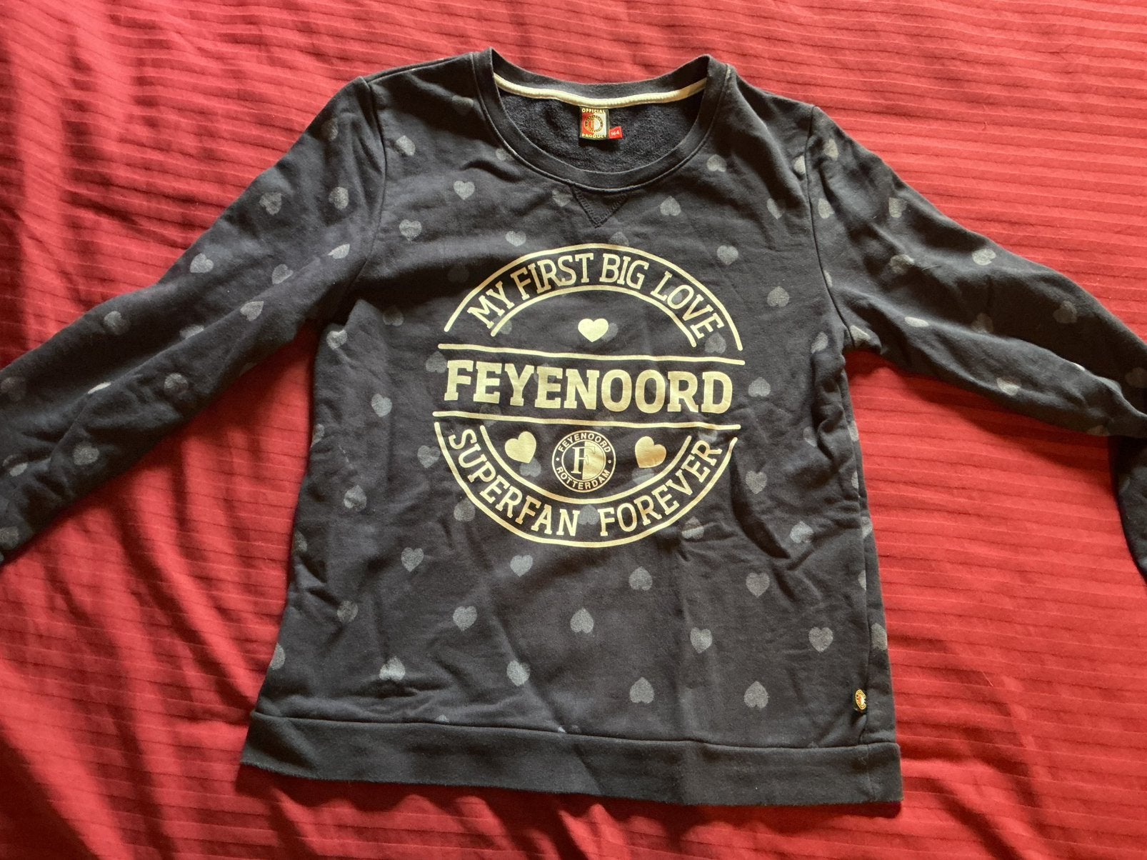 Feyenoord trui 158, Ophalen of Verzenden, Gebruikt, Meisje, Trui of Vest