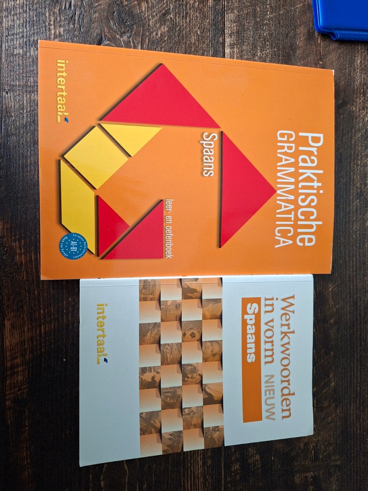 Spaanse Grammatica & Werkwoorden in vorm nieuw, Boeken, Ophalen of Verzenden