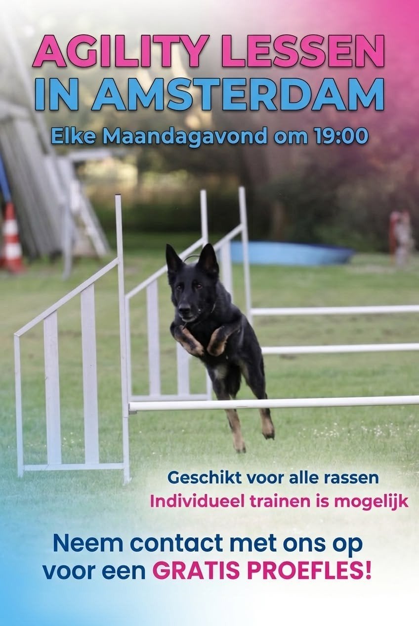 agility honden behendigheid Amsterdam