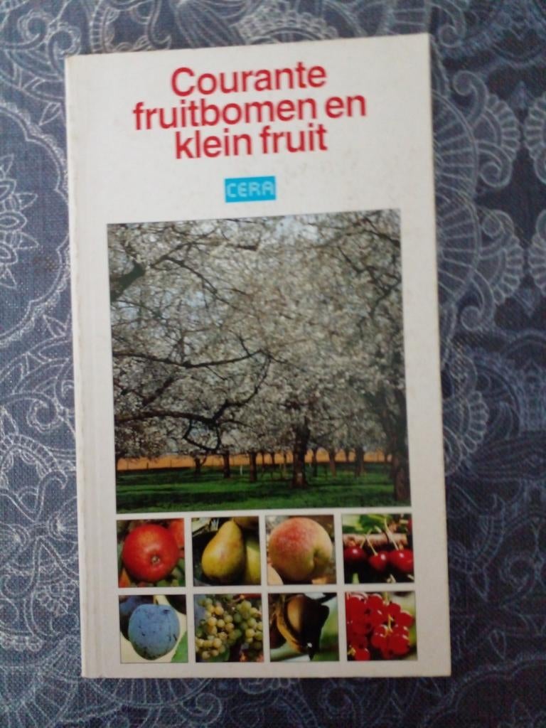 Courante fruitbomen en klein fruit, Ophalen of Verzenden