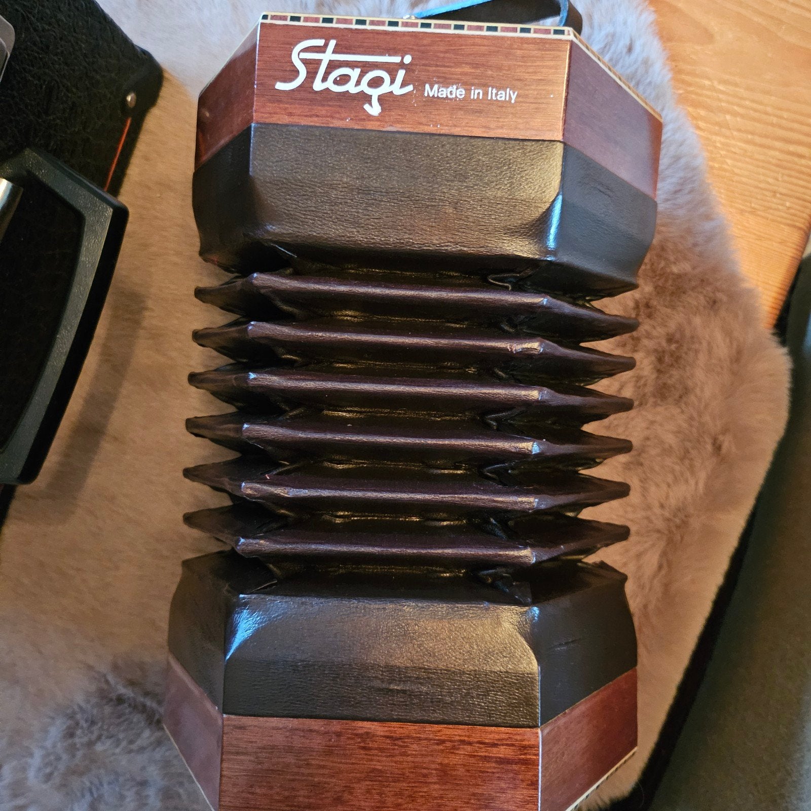 Stagi Angelo Concertina C/G - Nieuw, Ophalen of Verzenden, Nieuw, Overige soorten