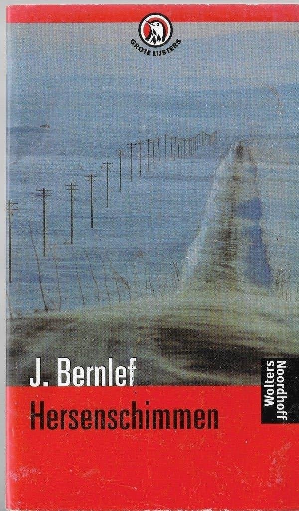 J Bernlef Hersenschimmen, Boeken, Literatuur, Zo goed als nieuw, Nederland, Ophalen of Verzenden