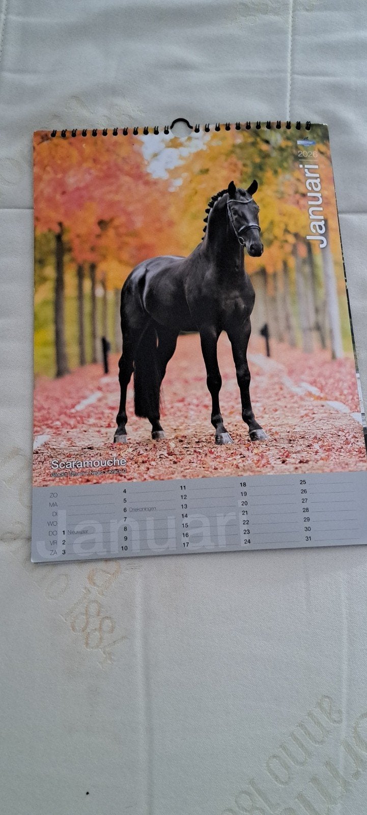 Leuke kalender van paarden 2026, Antiek en Kunst, Kunst | Schilderijen | Modern, Ophalen