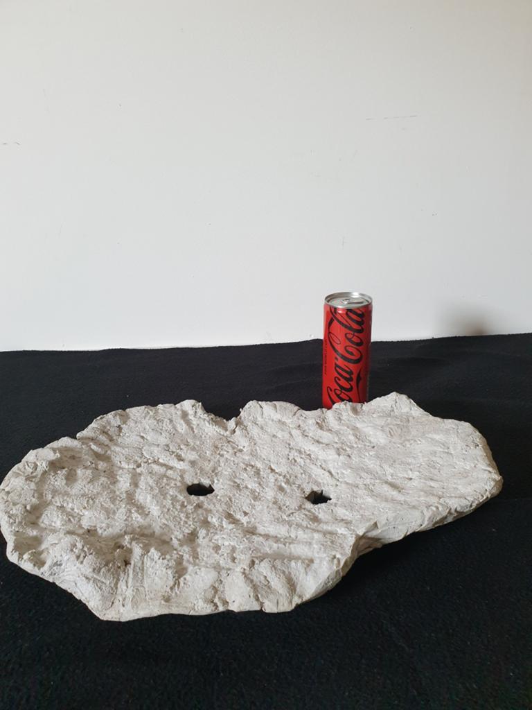 Bonsai slab schaal  van beton., Bloeit niet, Overige soorten, Minder dan 100 cm, Ophalen