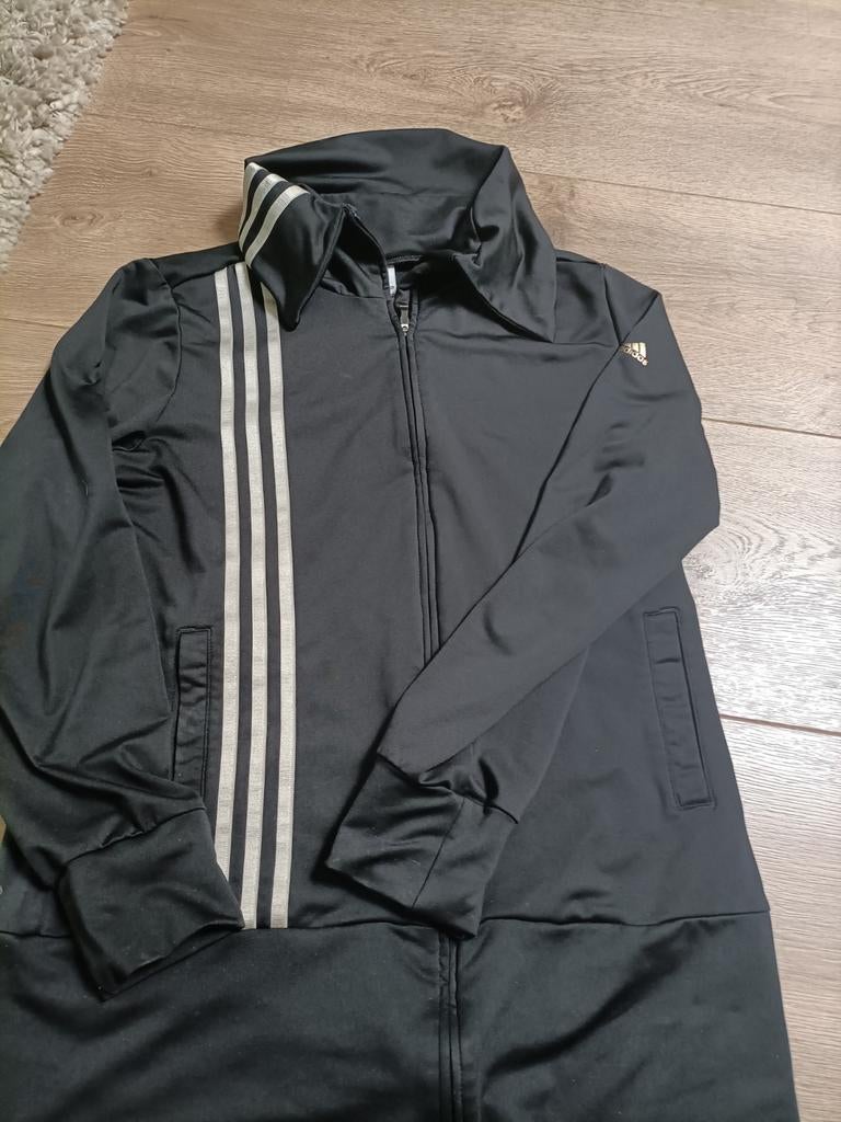 Adidas trainingsjasje maat 42, in prima staat!, Kleding | Dames, Adidas, Ophalen of Verzenden