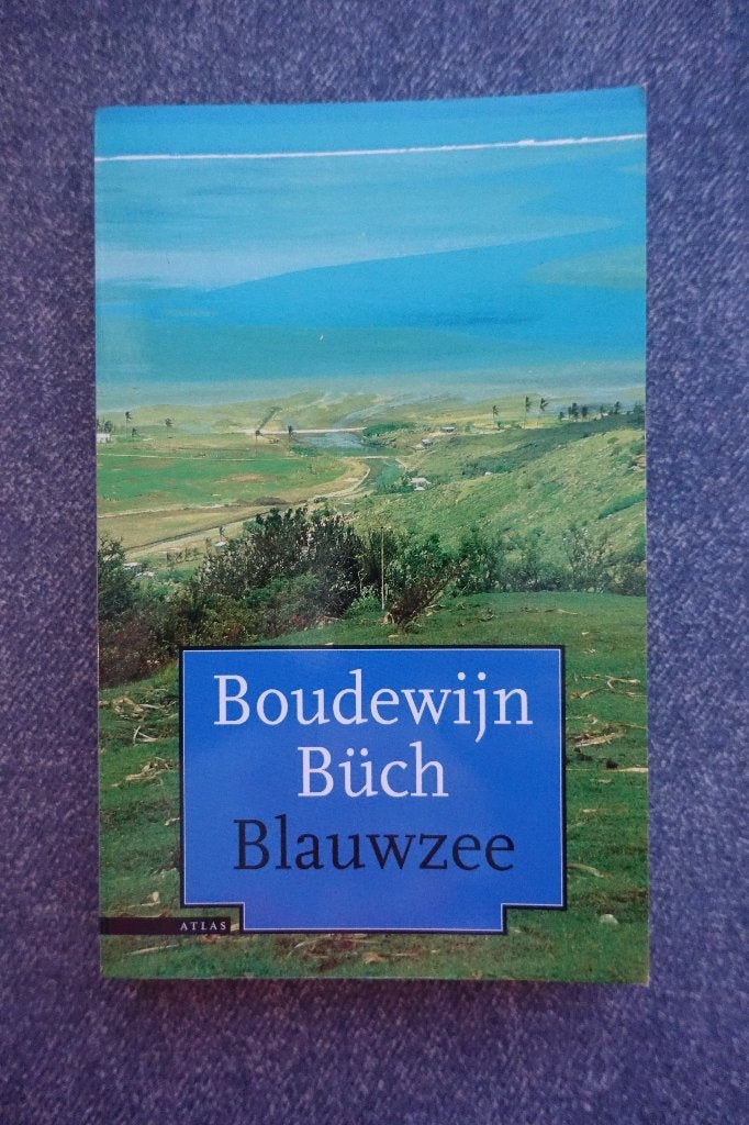 Boudewijn Büch. Blauwzee (Eilanden, vierde deel), Boeken, Ophalen of Verzenden, Zo goed als nieuw, Europa