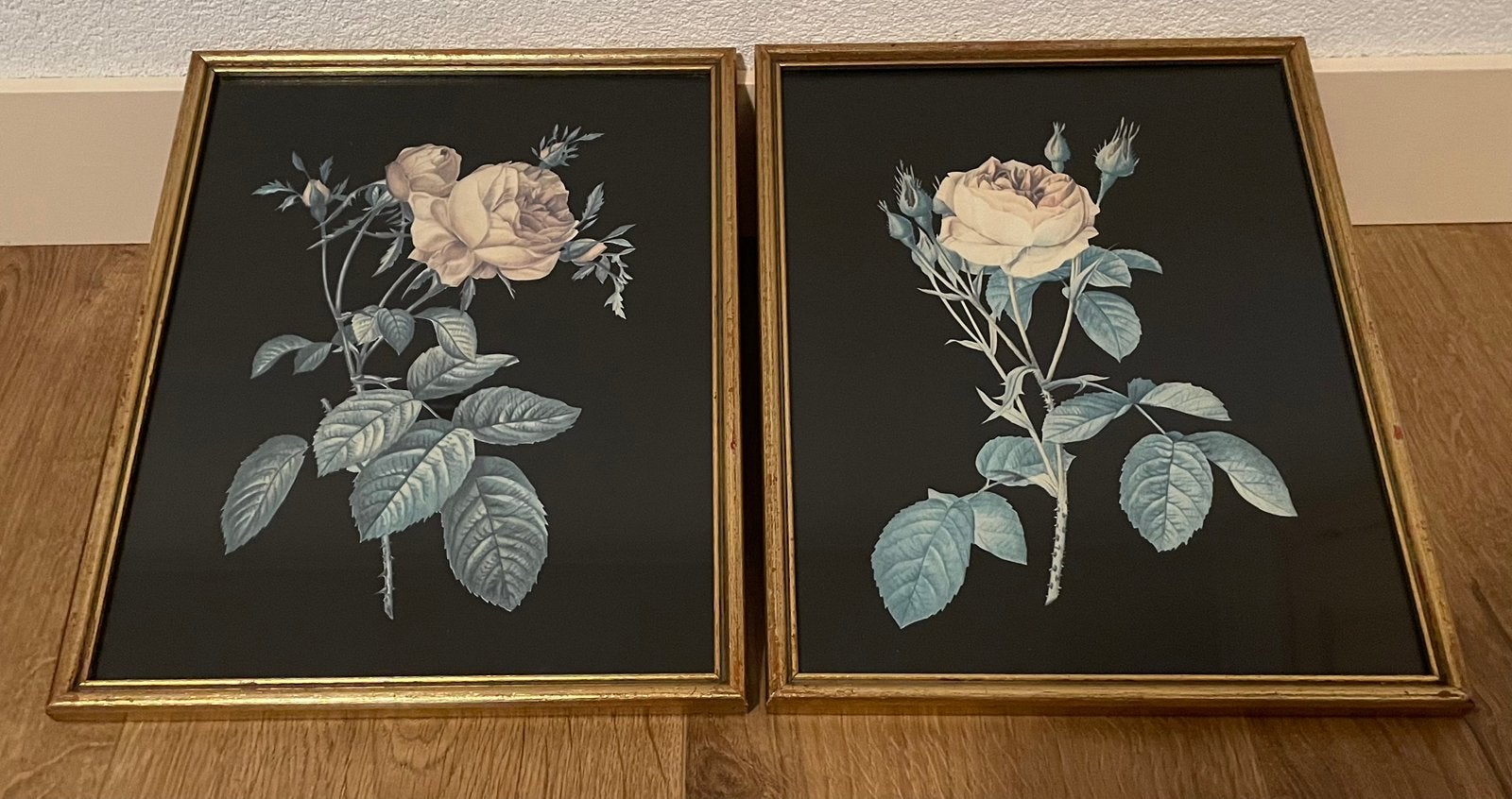 2 botanische rozenprints schilderijen, Gebruikt, Goud, Hangend, Hout