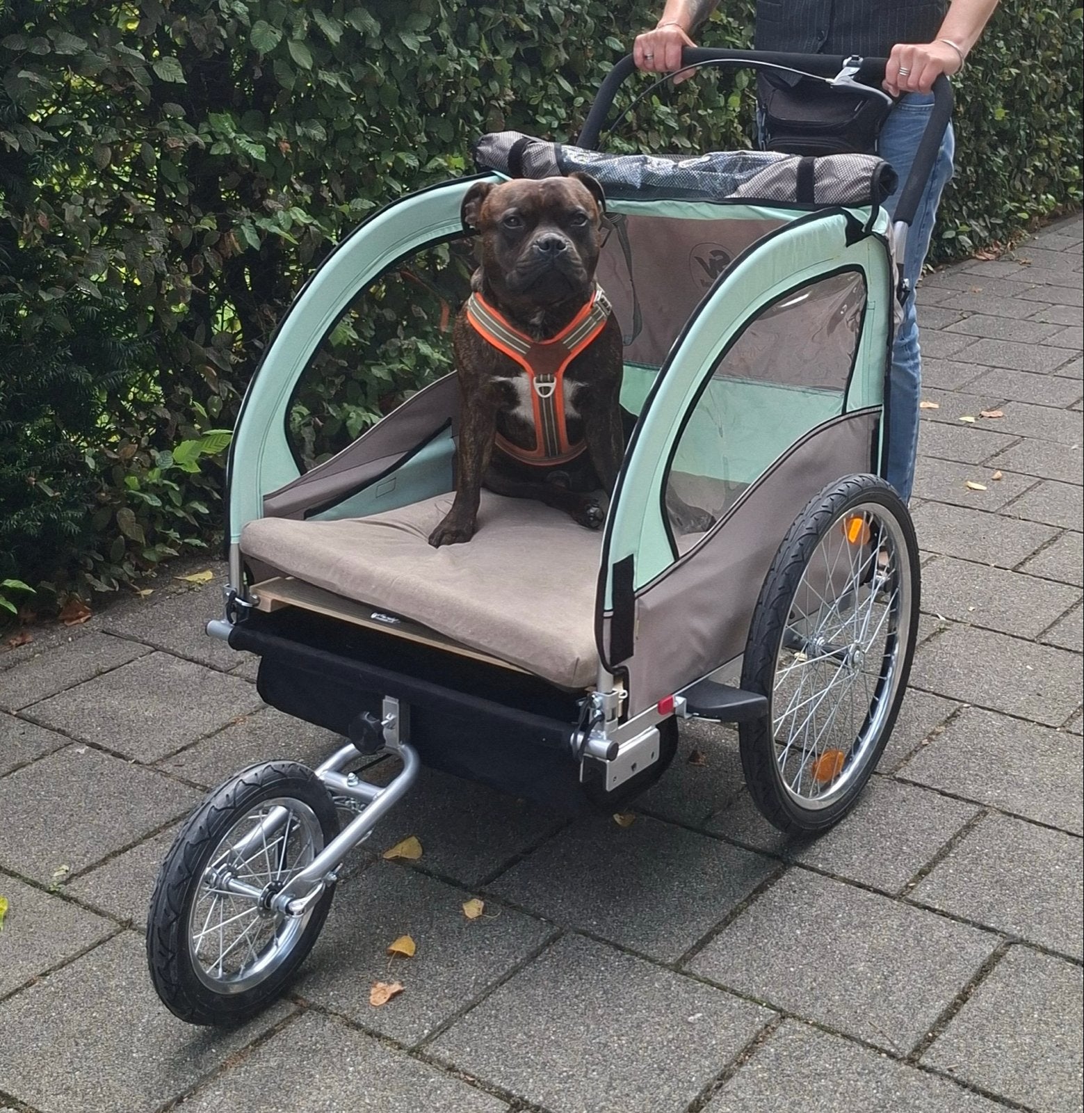 Hondenfietskar / Hondenbuggy - Zo goed als nieuw, Opvouwbaar, 20 tot 40 kg, Ophalen of Verzenden, Zo goed als nieuw
