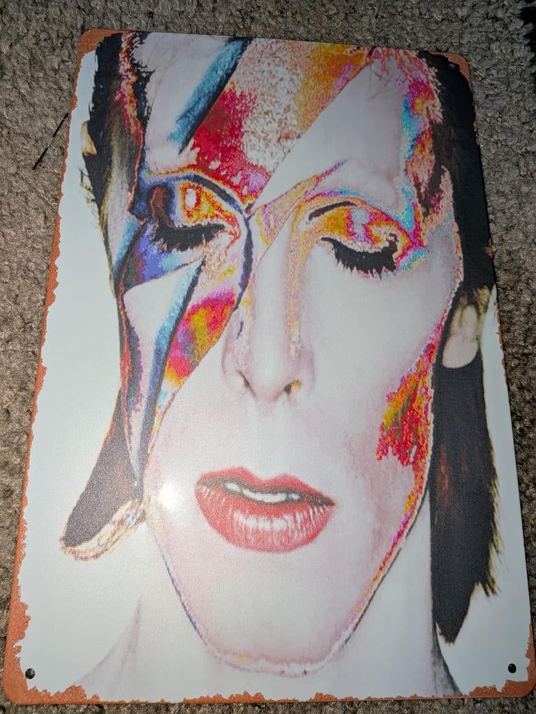 Wandbord david Bowie, Ophalen of Verzenden, Nieuw, Overige typen