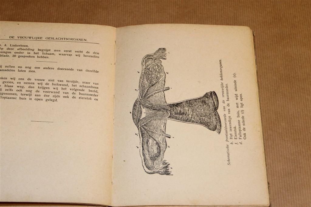 Vintage Boek voor Vrouwen — Seksuele Hygiëne [ca. 1950], Boeken, Ophalen of Verzenden, Gelezen