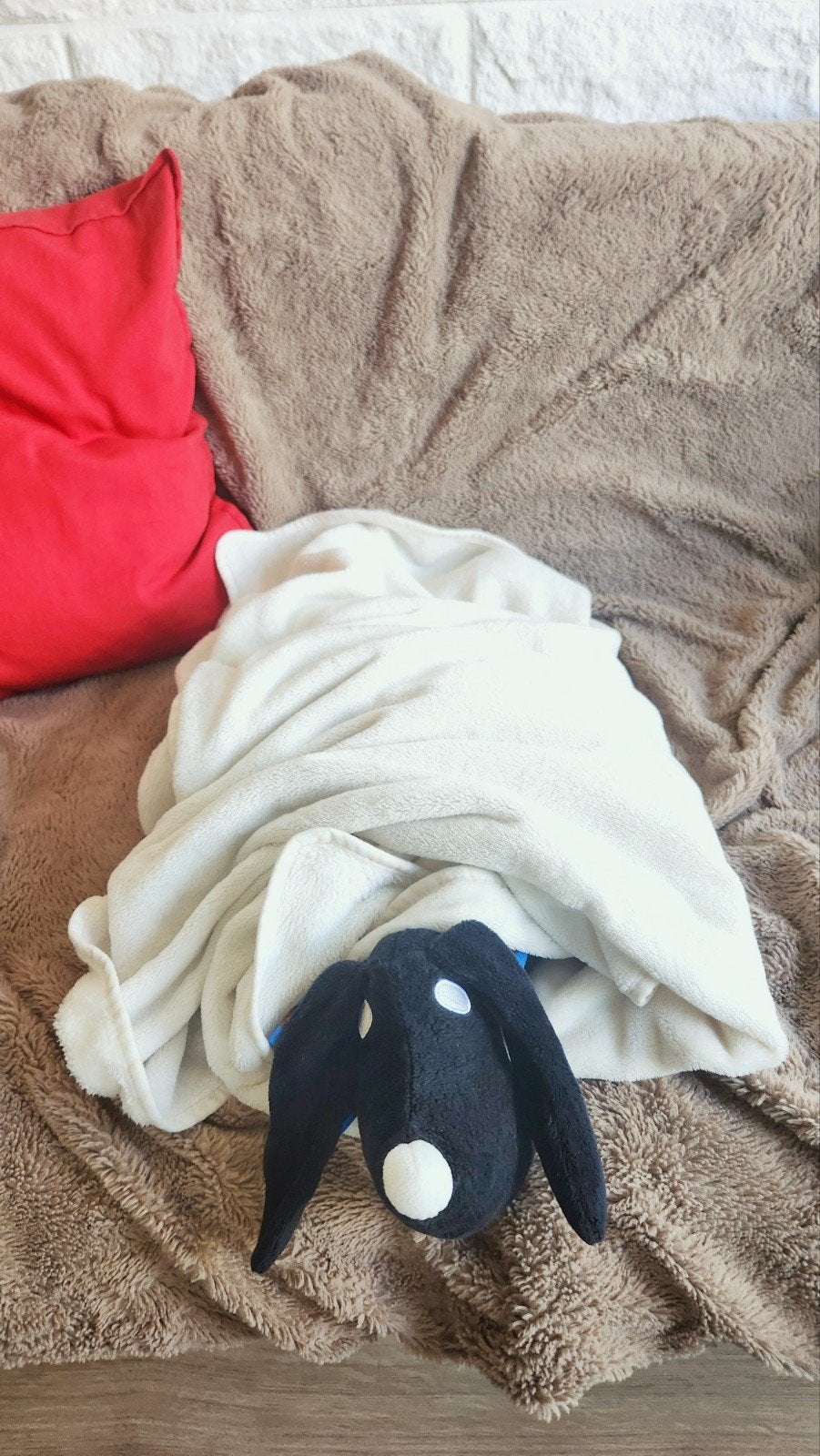 Zwarte hond knuffel - zacht en speels / White blanket, Zwart, Zo goed als nieuw, Middelgroot (20 tot 80 cm), Hond