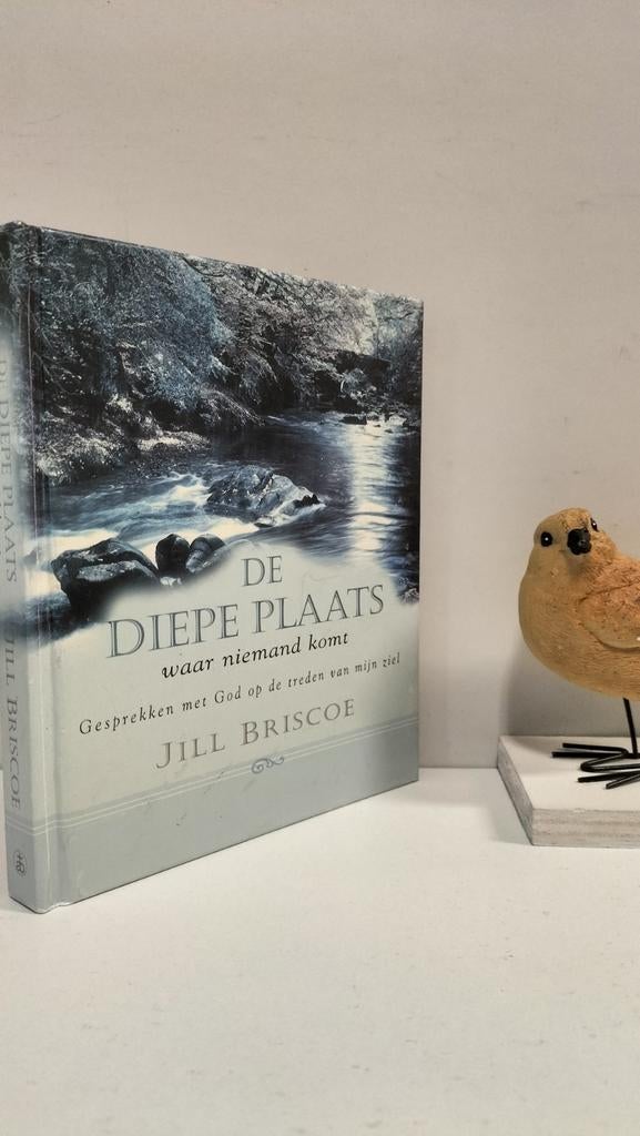 Briscoe, Jill; De diepe plaats waar niemand komt, Boeken, Ophalen of Verzenden, Gelezen, Christendom | Protestants