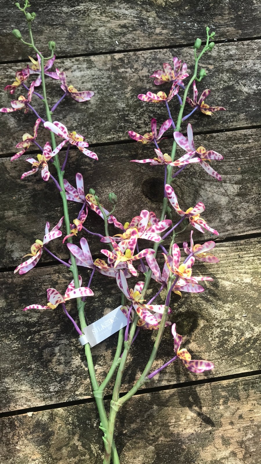 2 Zijden orchideeën takken - Silk-Ka, Ophalen of Verzenden, Nieuw