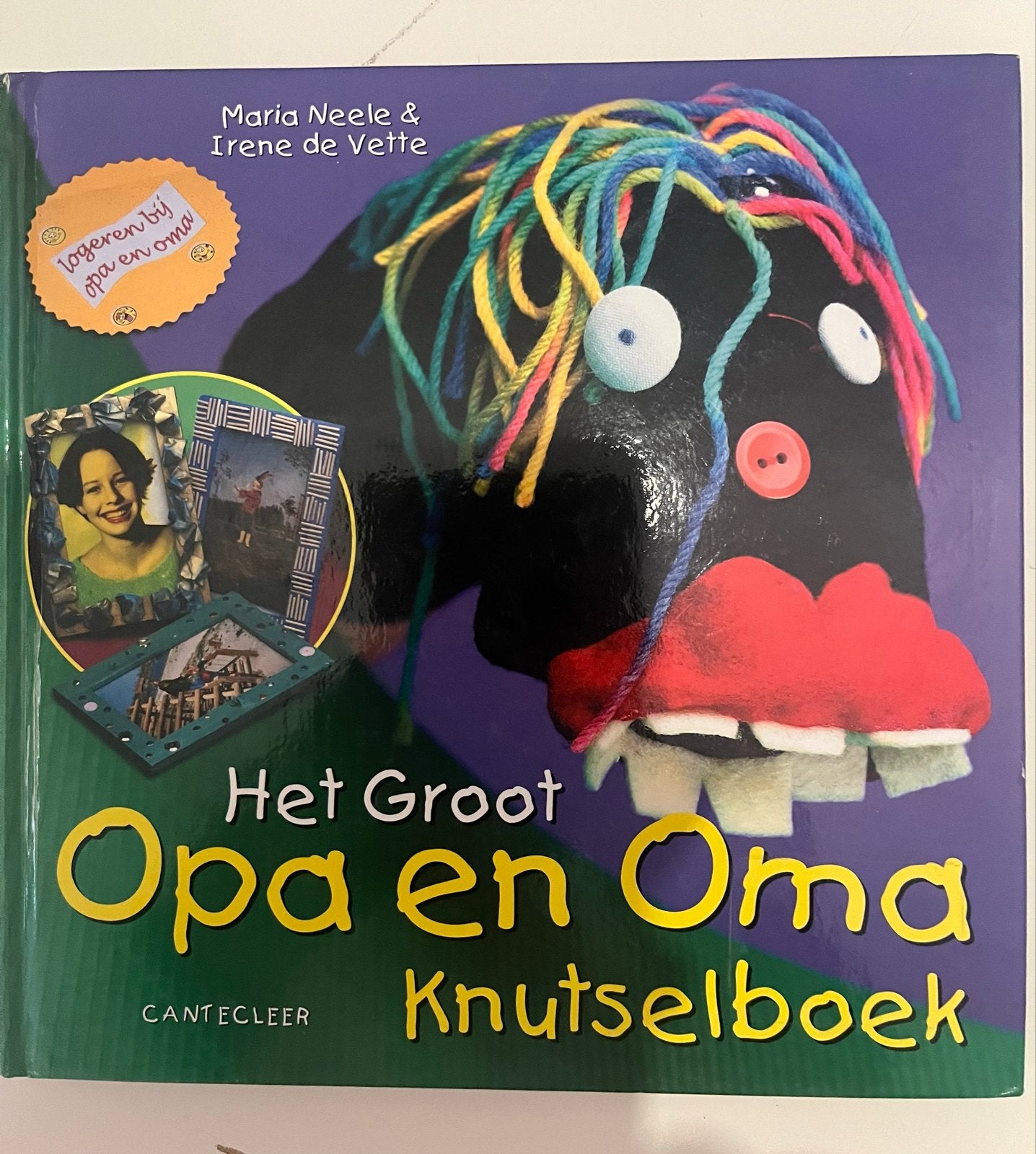 Het Groot Opa en Oma Knutselboek - Maria Neele & Irene de Ve, Boeken, Ophalen of Verzenden, Zo goed als nieuw, Scrapbooking en Knutselen
