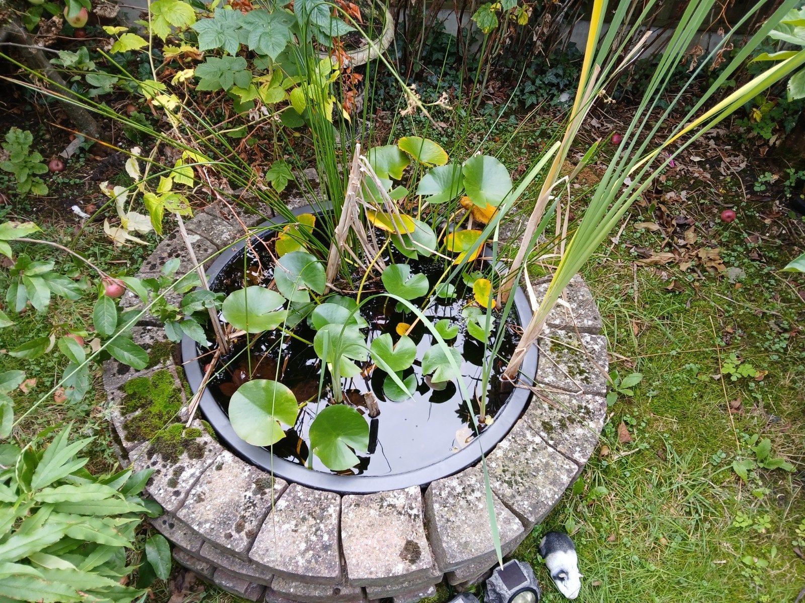 Decoratieve vijver met losse stenen en plastic bak, Ophalen, Gebruikt