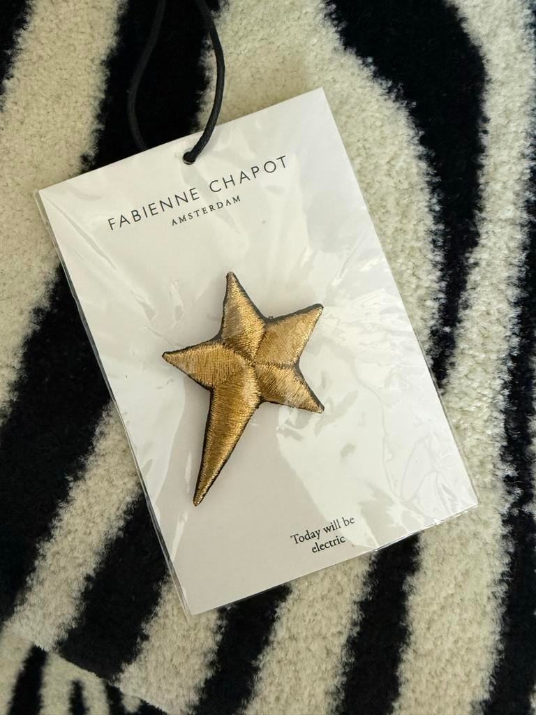 Fabienne Chapot Ster Broche - Nieuw met kaartje, Kleding | Dames, Ophalen of Verzenden, Nieuw