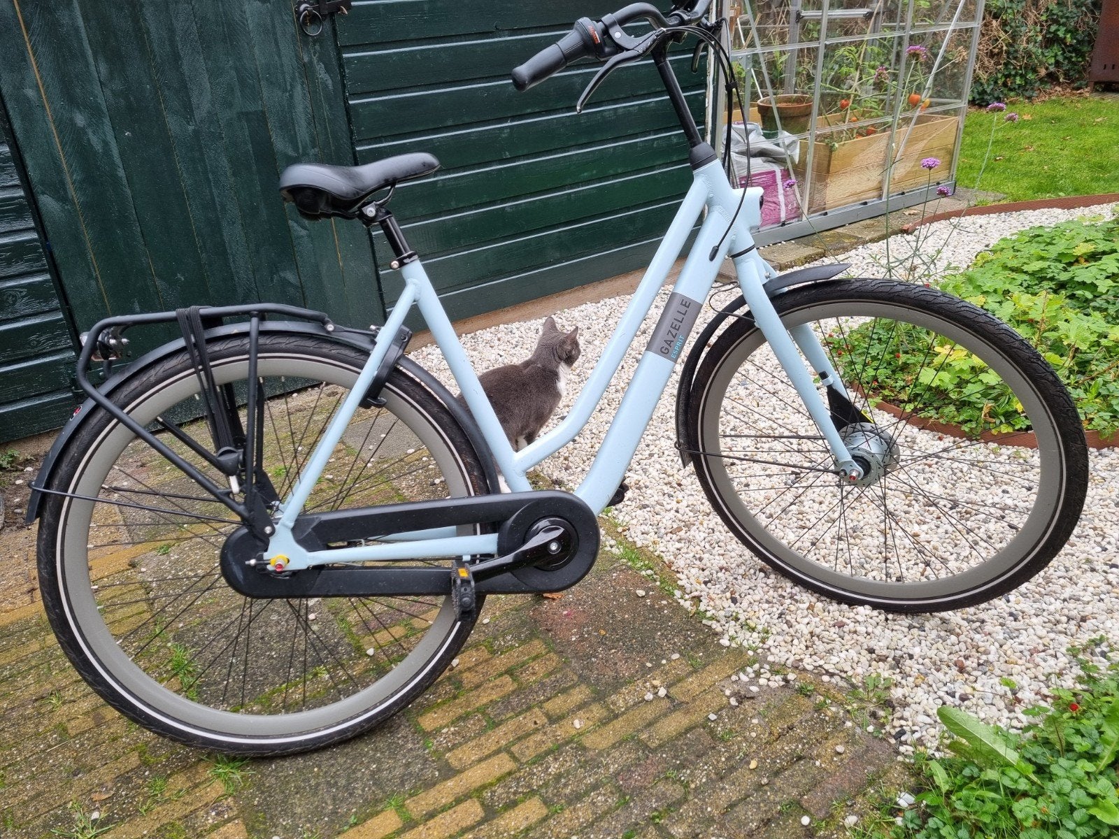 Gazelle Esprit damesfiets - 1 jaar oud - framemaat 54, Fietsen en Brommers, Ophalen, 53 tot 56 cm, Versnellingen, Zo goed als nieuw