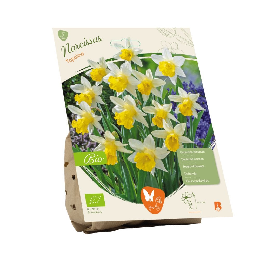 Narcis (Narcissus ‘Topolino’) BIOLOGISCH, Ophalen of Verzenden, Najaar, Volle zon, Bloembol