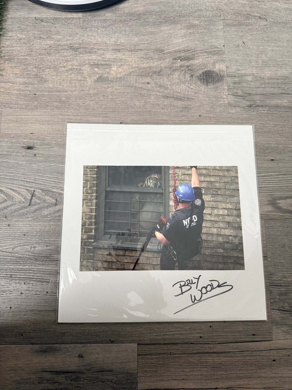 Armand Hammer Shrines 1e Druk Gesigneerd!!!, Gesigneerd, Ophalen of Verzenden, Zo goed als nieuw