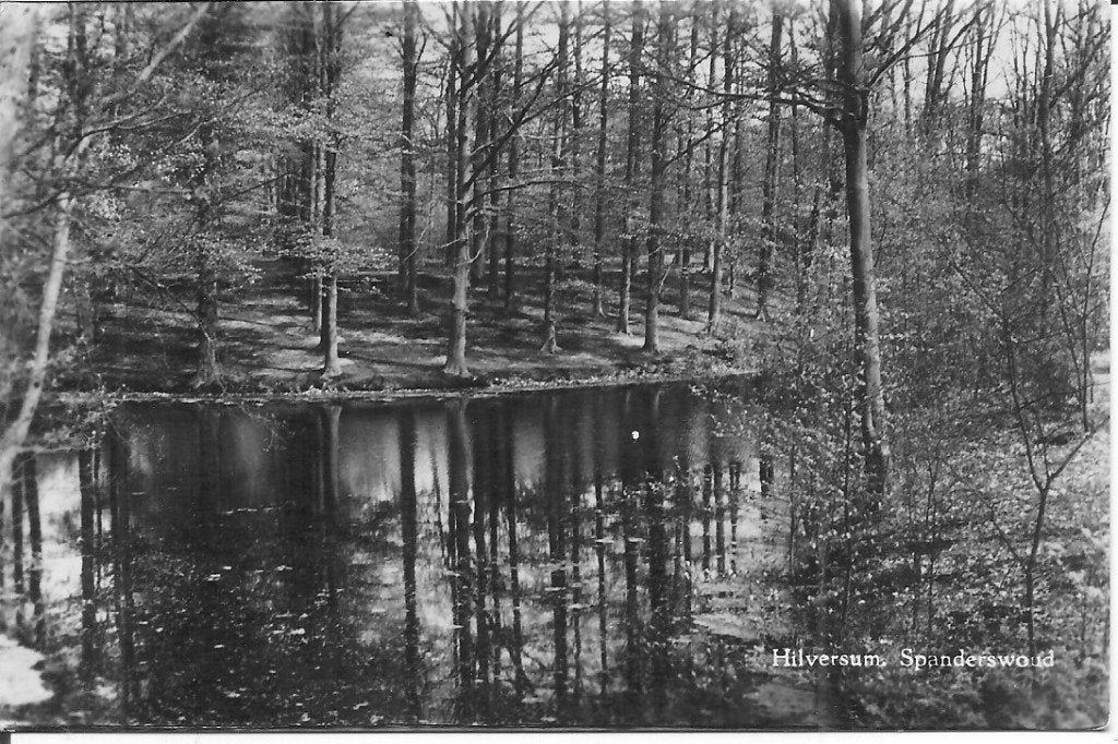 Oude ansichtkaart Hilversum, Spanderswoud (1955), Ophalen of Verzenden, 1940 tot 1960, Gelopen, Noord-Holland