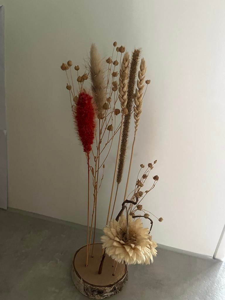 Prachtige droogbloemen op stammetje Sissy Boy, Ophalen of Verzenden, Zo goed als nieuw