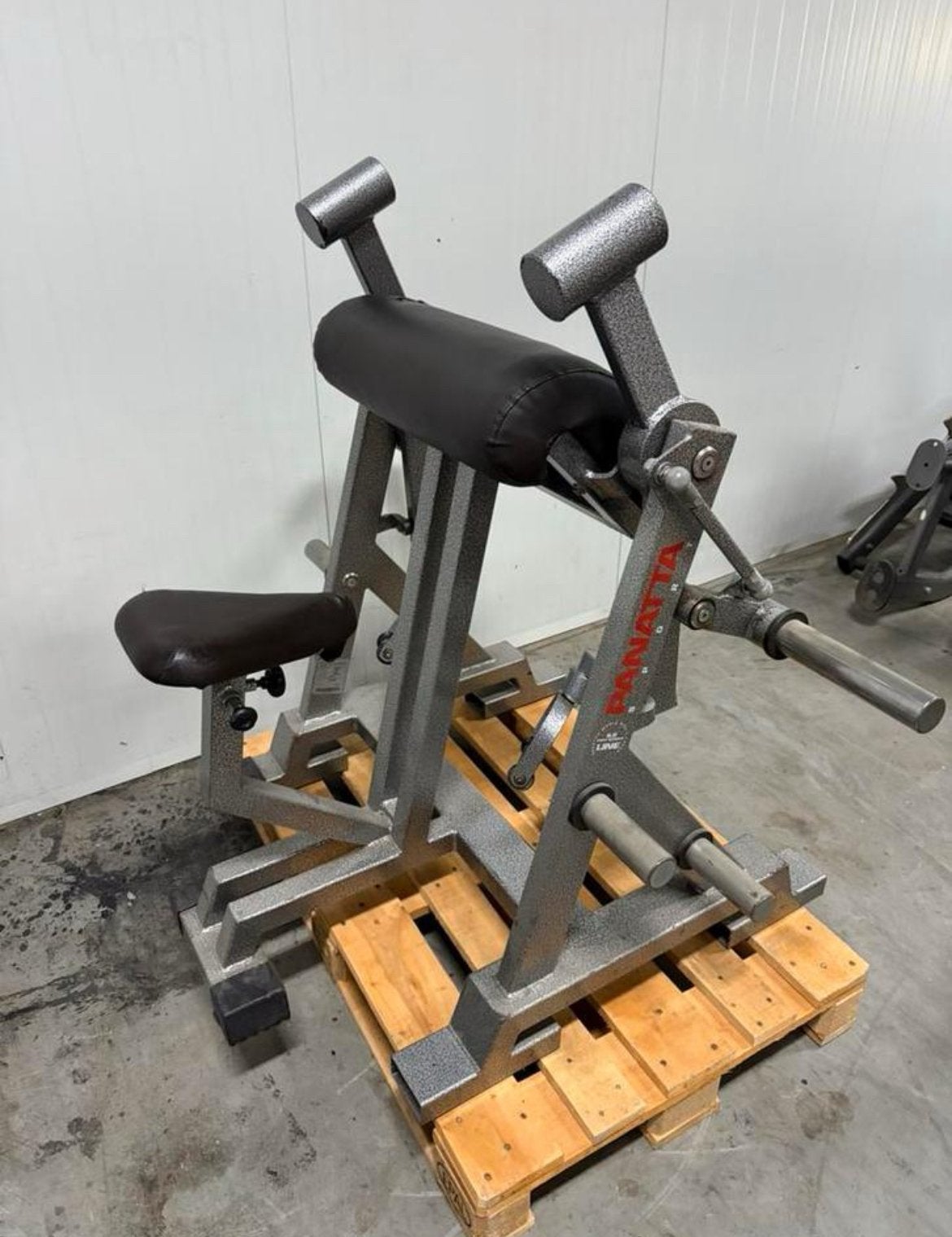 Panatta Biceps curl / bicep / bizep / bizeps / plate loaded, Ophalen, Benen, Gebruikt, -