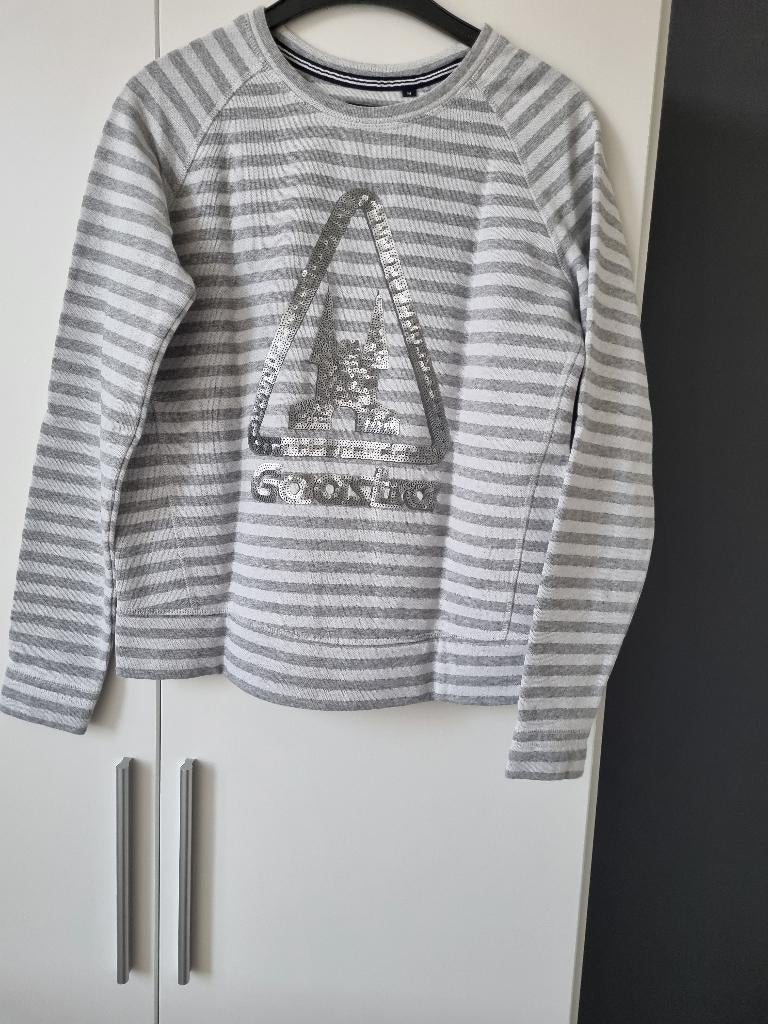 Sweater van Gaastra, Kleding | Dames, Truien en Vesten, Maat 38/40 (M), Gaastra, Ophalen of Verzenden, Zo goed als nieuw